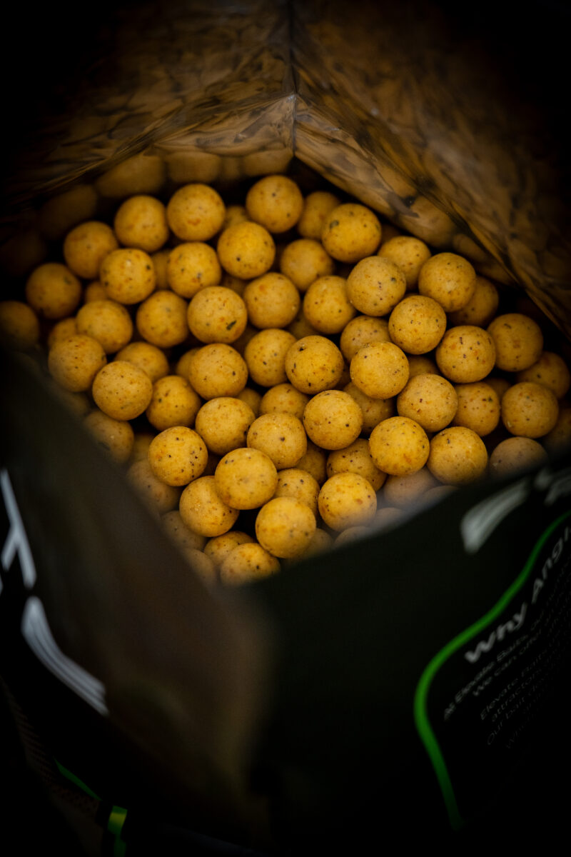ELEVATE BAITS - MAPLE & MULBERRY BOILIES